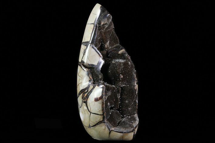 Bargain, Polished Septarian Geode Sculpture - Black Crystals #71876